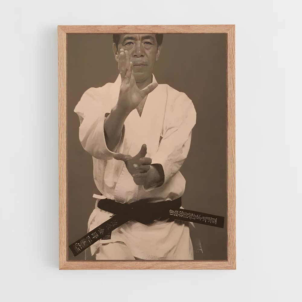 Poster Hirokazu de kanazawa – affiche Karaté (vue 4)